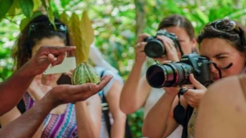 Zanzibar: Prison Island visit and Spice lesson tour - The Experience in Detail: What to Expect from Start to Finish
