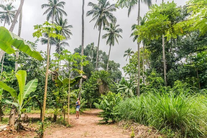 Zanzibar Private Spice Farm and Stonetown Tour(Include Lunch) - Who Is This Tour Best Suited For?