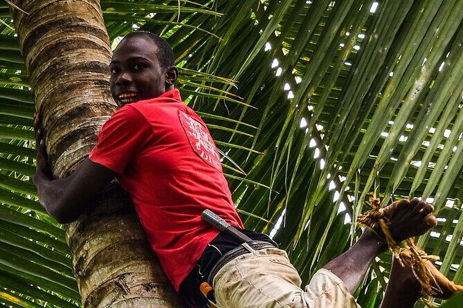 Zanzibar Private Spice Farm and Stonetown Tour(Include Lunch) - FAQ