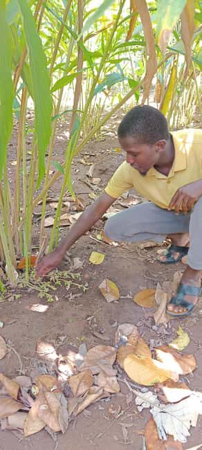 Zanzibar: Private SpiceFarm, PrisonIsland And StoneTown Tour - Practical Details: Logistics and Value