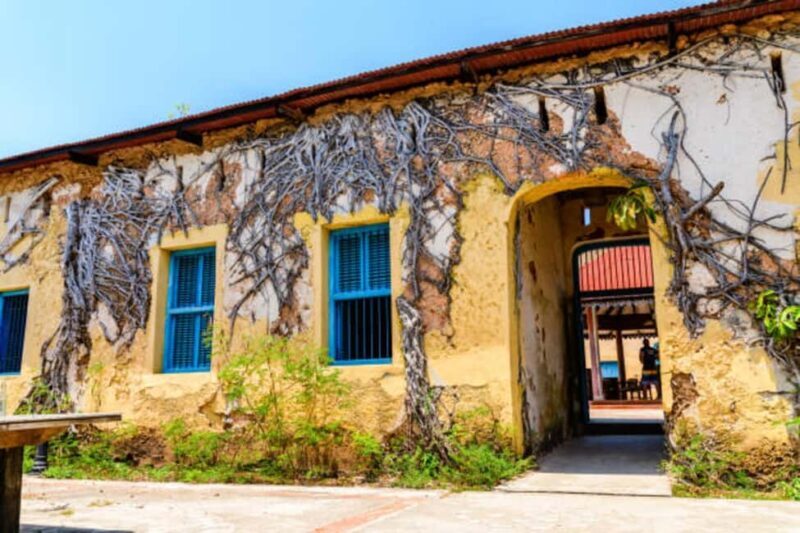 Zanzibar: Private Stone Town & Prison Island Tour - The Practical Side: What to Expect