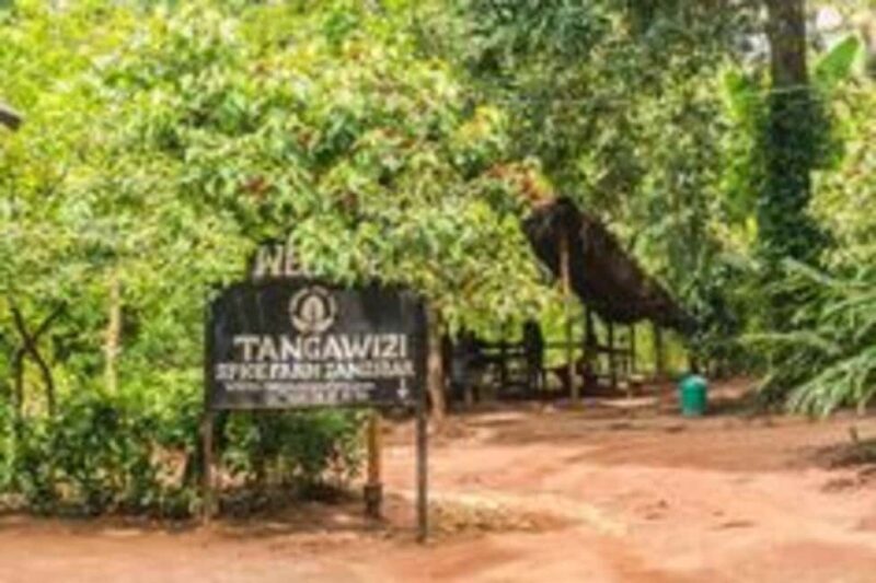 Zanzibar: Private Tour with Prison Island and Spice Farm - Key Points