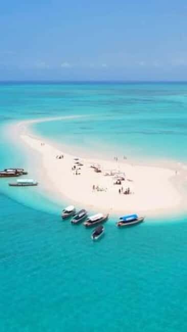 Zanzibar: Private Tour with Prison Island and Spice Farm - Final Thoughts