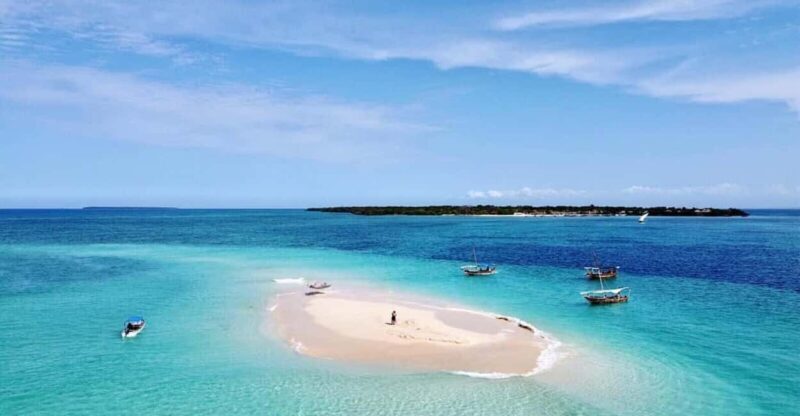 Zanzibar: Pungume Island Dolphin and Snorkeling Tour - Why Choose This Tour?