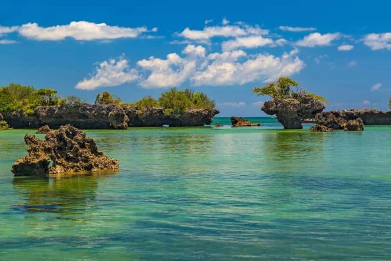 Zanzibar: Pungume Island Dolphin and Snorkeling Tour - Who Is This Tour Best For?