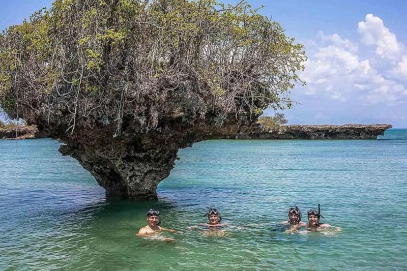 Zanzibar: Pungume Island Dolphin and Snorkeling Tour - Final Thoughts