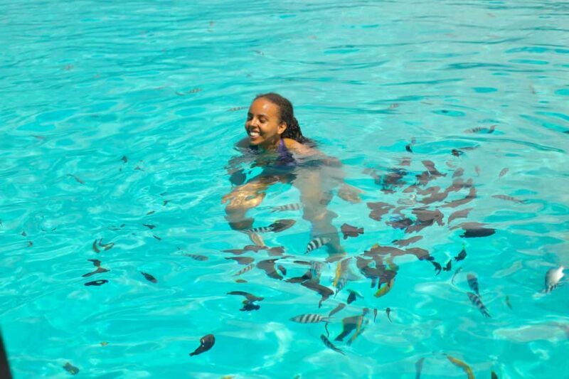 Zanzibar: Pungume island-dolphin watching - BBQ Lunch - Key Points