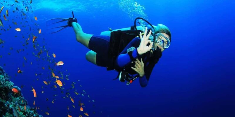 Zanzibar: Pungume island-dolphin watching - BBQ Lunch - A Deep Dive into the Experience
