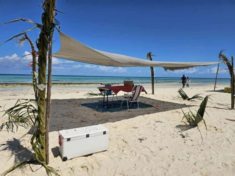 ZANZIBAR: Pungume island, SandBank picnic with BBQ - Additional Details: What You Need to Know