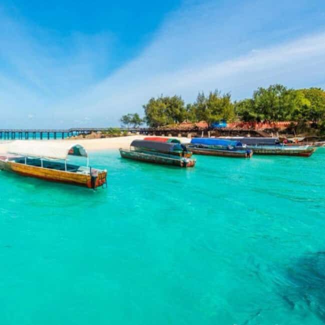 Zanzibar: Pungume Private Safari Blue Picnic - What to Bring and Practical Tips