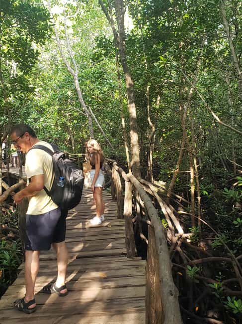 Zanzibar: Red Colobus Monkeys in Jozani Forest Guided Tour - A Closer Look at the Jozani Forest Guided Tour