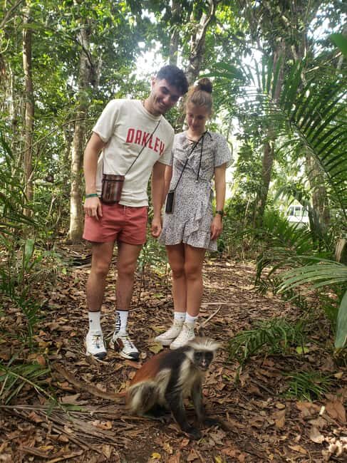 Zanzibar: Red Colobus Monkeys in Jozani Forest Guided Tour - FAQ