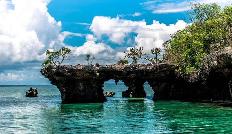 Zanzibar: Safari Blue Adventure Day Trip - An Authentic Day on the Water: What to Expect