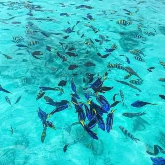 Zanzibar: safari blue adventure - Logistics and Practical Tips