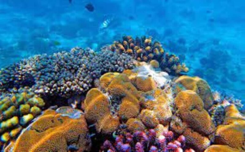 Zanzibar: safari blue adventure - Who Will Love This Tour?