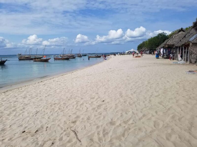 Zanzibar: Safari Blue Day Tour Snorkeling With BBQ Lunch - Practical Tips for Travelers