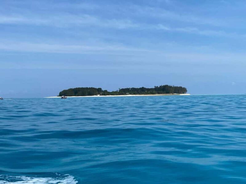 Zanzibar: Safari Blue Day trip with Snorkeling and Lunch - The Sum Up