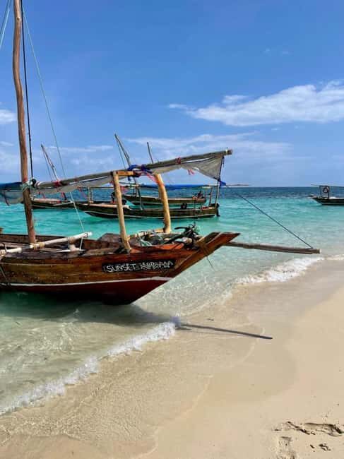 Zanzibar: Safari Blue Full-Day Exploration - The Sum Up