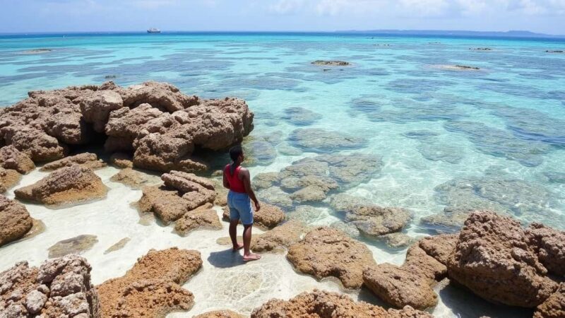 Zanzibar: Safari Blue Full-Day Tour with Lunch and transfer - Practical Tips for a Great Experience