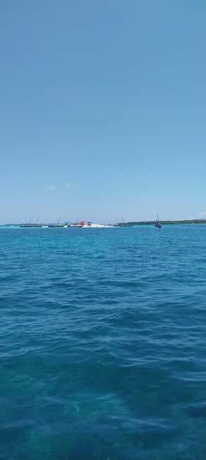 Zanzibar: Safari Blue Full-Day Tour with Seafood BBQ - Key Points