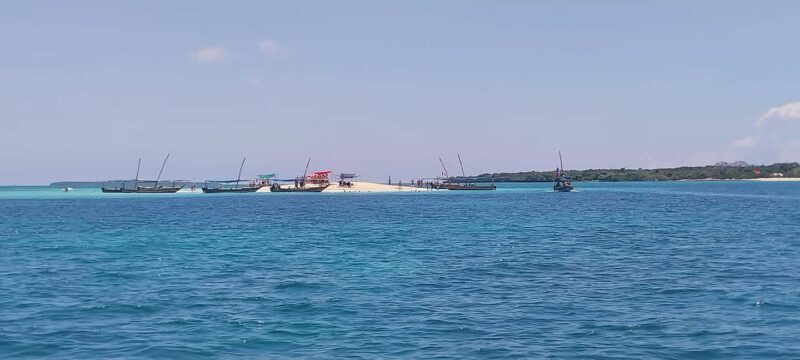 Zanzibar: Safari Blue Full-Day Tour with Seafood BBQ - A Deeper Dive into the Safari Blue Experience