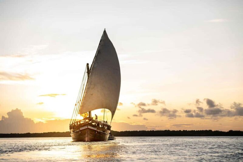 Zanzibar: Safari Blue Full-Day Tour with Seafood BBQ - Final Thoughts