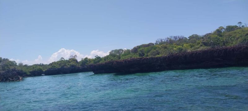 Zanzibar: Safari Blue Full-Day Tour with Seafood BBQ - FAQ