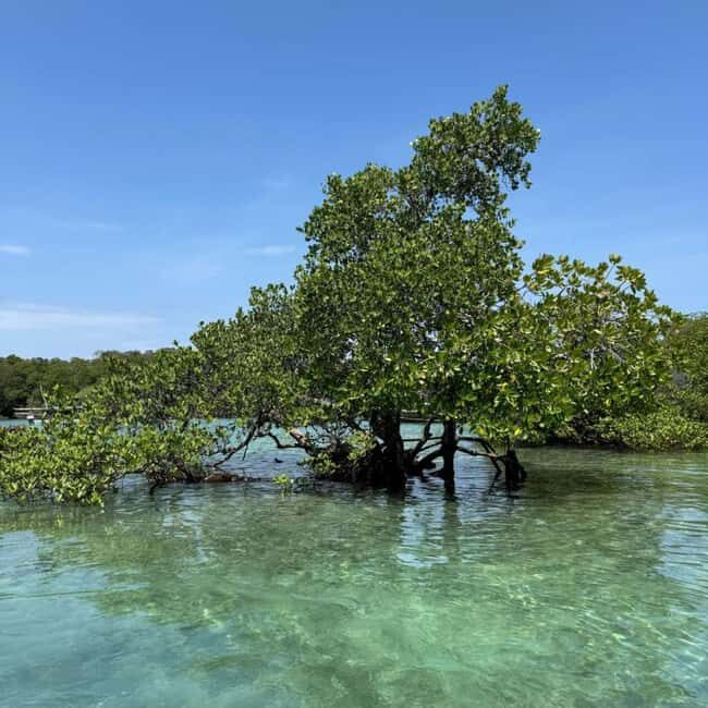 ZANZIBAR: Safari Blue Honeymoon tour - Final Thoughts: Is It Worth It?