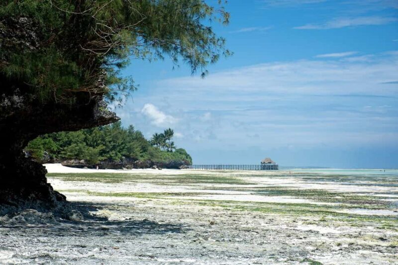 Zanzibar - Safari Blue private trip (Menai bay paradise) - An In-Depth Look at the Safari Blue Experience