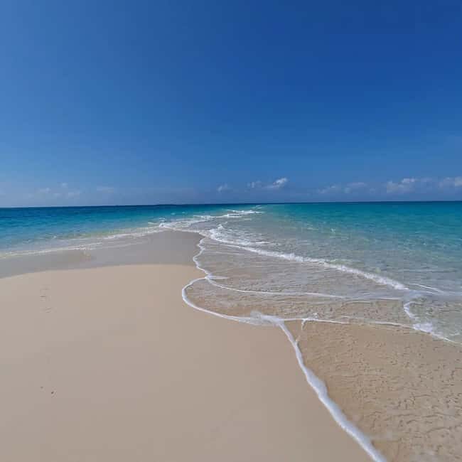 Zanzibar: safari blue snorkeling and sandbank - Who Should Consider This Tour?