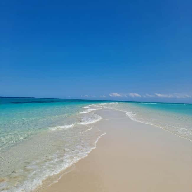 Zanzibar: safari blue snorkeling and sandbank - FAQ