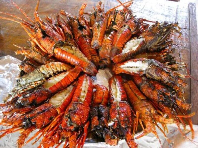 Zanzibar: Safari Blue Snorkeling Tour with Lunch - FAQs