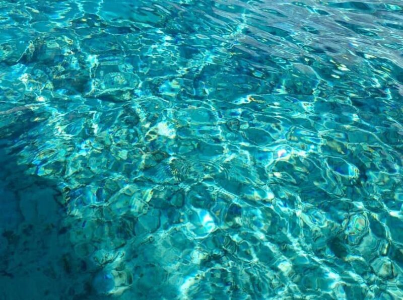 Zanzibar: Safari Blue Tour with Snorkeling and Lunch - Final Thoughts