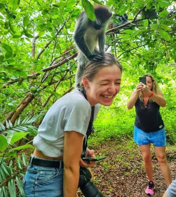 ZANZIBAR: Salaam Cave, Prison Island & Jozani Forest Tour - Authentic Experiences That Matter
