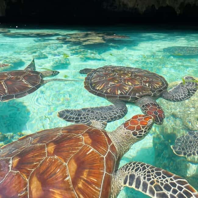 ZANZIBAR: Salaam Cave Swimming with Sea Turtles at Kizimkazi - Discovering Salaam Cave: A Natural Treasure