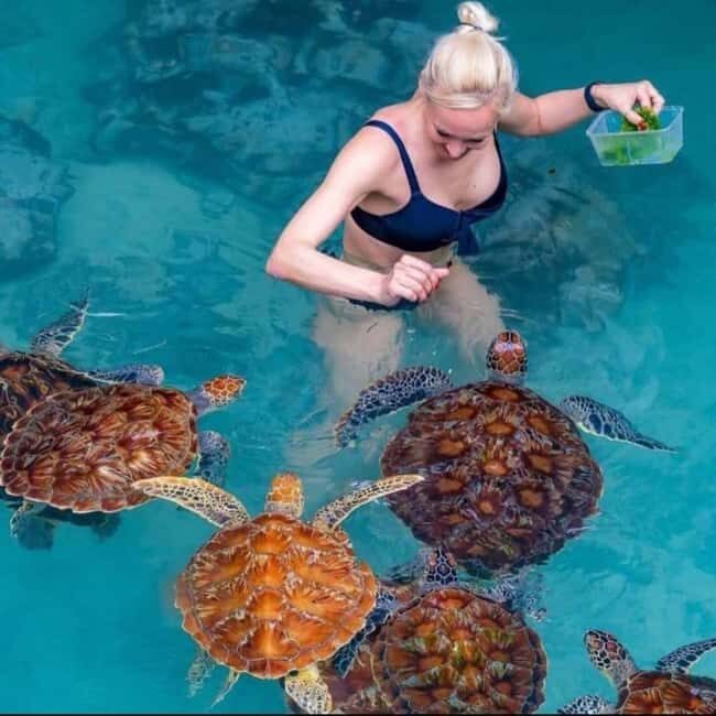 ZANZIBAR: Salaam Cave Swimming with Sea Turtles at Kizimkazi - Evaluating the Value