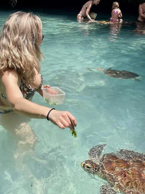ZANZIBAR: Salaam Cave Swimming with Sea Turtles at Kizimkazi - The Experience Provider
