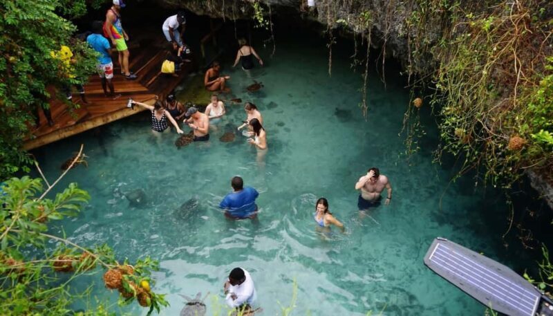 Zanzibar: Salaam Cave Swimming with Turtles tour - What to Bring and What to Know