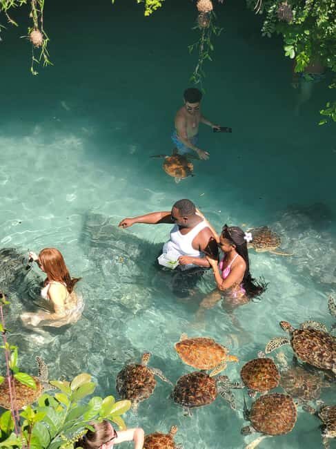 Zanzibar: Salaam Cave Swimming with Turtles tour - Authenticity and Customer Feedback