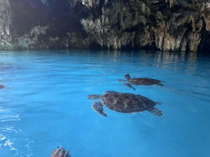 Zanzibar: Salaam Cave Swimming with Turtles Tour - Key Points