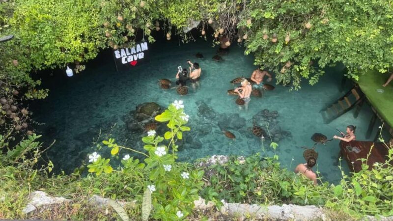 Zanzibar: Salaam Cave Swimming with Turtles Tour - Final Thoughts: Value, Authenticity, and Conservation