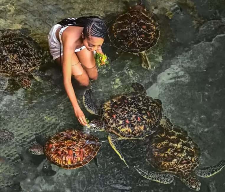 Zanzibar: Salam Cave, Spice and Stone Town Tour - Exploring Zanzibar: A Rich Tapestry of Culture and Nature