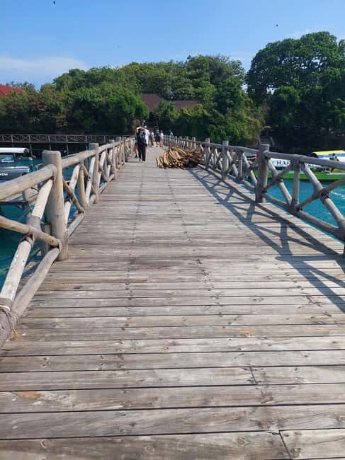 Zanzibar: Sea Turtles and Mtende Beach Tour - Introduction: A Mix of Wildlife, Culture, and Leisure