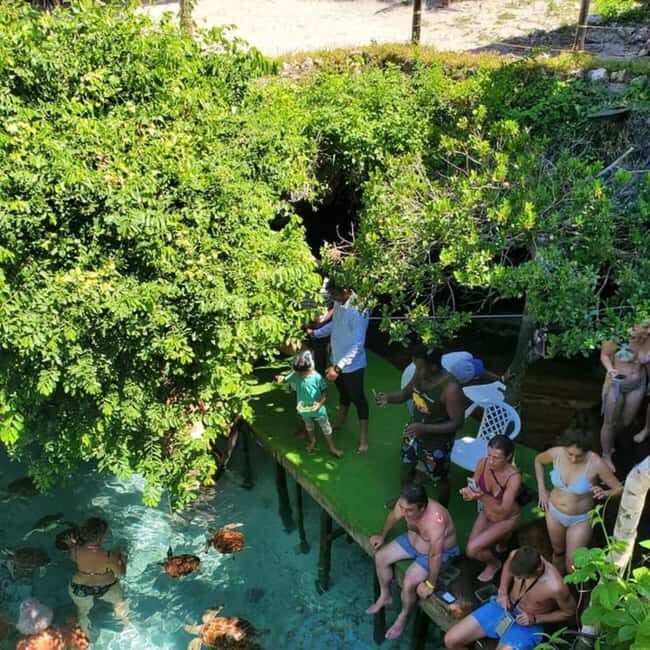 ZANZIBAR: Sea Turtles Salaam cave & Jozani Forest | half day - Discover Zanzibar’s Natural Wonders: Jozani Forest & Salaam Cave