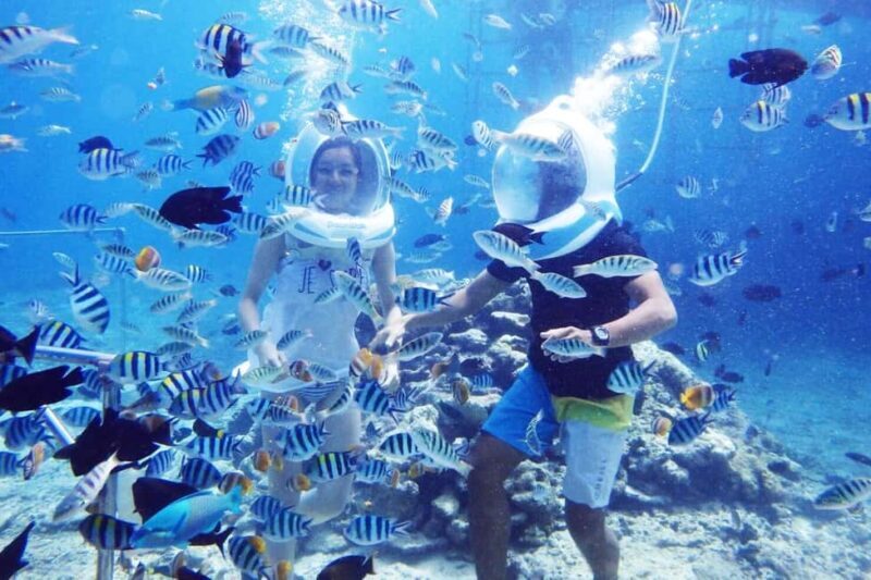 Zanzibar: Sea Walk Adventure and Sea Turtle Sanctuary Tour - Key Points