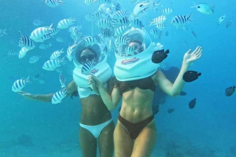 Zanzibar: Sea Walk Adventure and Sea Turtle Sanctuary Tour - Who This Tour Is Best For