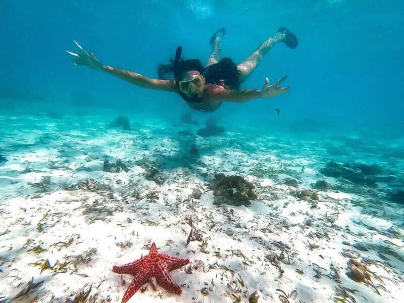 Zanzibar snorkeling and sandbank picnic BBQ lunch - FAQ