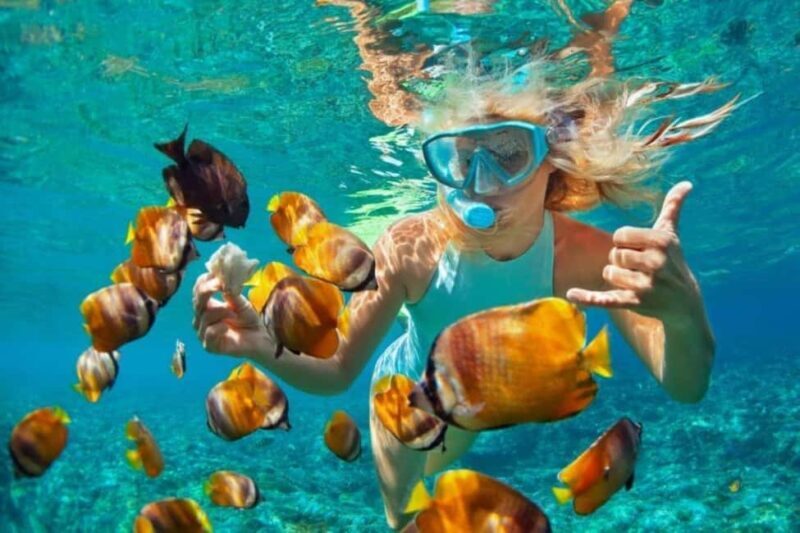 Zanzibar: Snorkeling at blue lagoon & Star fish tour - Key Points