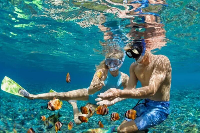 Zanzibar: Snorkeling at blue lagoon & Star fish tour - An In-Depth Look at the Zanzibar Snorkeling Tour