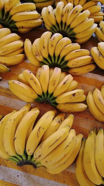 ZANZIBAR; Spice farm and Cooking class with lunch included - Who Will Love This Experience?